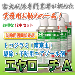 トコジラミ（南京虫）駆除 自分で出来る駆除スプレー エヤローチA（12本セット）